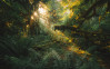 Hall of Mosses - View 1