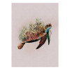 Color Prints  - View 1