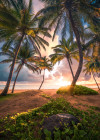 Vertical Paradise - View 1