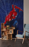 Marvel Spider-Man Spider Web - View 1