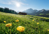 Alpenglück - View 1