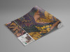 Orient Violet - View 1