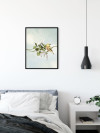 Gazouillis des Oiseaux