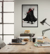 Star Wars Vision Samurai Dark Lord