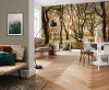 Bold Birch - View 1