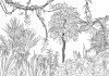 Art Edition - View 1