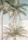 Palm Oasis - View 1
