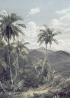 The Exotic Land - View 1