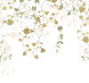 Hedera - View 1
