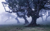 Ghost Line - View 1