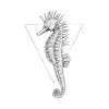 Sea Horse White