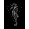 Sea Horse Black