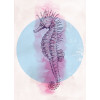 Sea Horse Circle