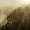 Misty Mountain