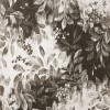 Modular Moiety