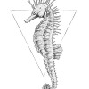 Sea Horse White