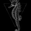 Sea Horse Black