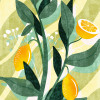 Lemon Fresh