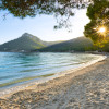 Lonely Paradise