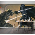 Star Wars Classic RMQ Vader vs Luke