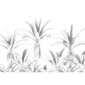 Musa - Thumbnail View 1