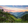 Alps - Thumbnail View 1