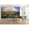 Coloured Faeroer - Thumbnail View 1