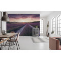 Lavender Dream - Thumbnail View 1