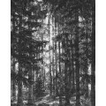 Lustres Lapland - Thumbnail View 1