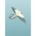 Jungle Drums - Thumbnail View 1
