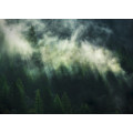 Misty Crowns - Thumbnail View 1