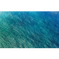 Blaupause - Thumbnail View 1