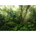 Mindfulness - Thumbnail View 1