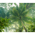 Climber Canopy - Thumbnail View 1
