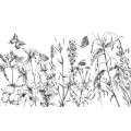 Butterfly Field - Thumbnail View 1