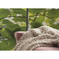 Im Frühlingswald - Thumbnail View 1