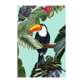 Wild Amazonia - Thumbnail View 1