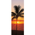 Hawaii - Thumbnail View 1