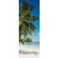 Coconut Bay - Thumbnail View 1