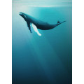 Artsy Humpback Whale - Thumbnail View 1
