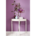 Orchidee - Thumbnail View 1