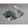 Jurassic Island  - Thumbnail View 1