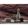 Mesa Arch - Thumbnail View 1
