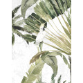 Jungle Drums - Thumbnail View 1