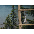 Spirit Island - Thumbnail View 1
