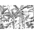 Croissances Monochrome - Thumbnail View 1