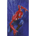Marvel Spider-Man Spider Web - Thumbnail View 1