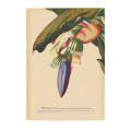 Tropic Interior - Thumbnail View 1