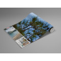 Lonely Paradise - Thumbnail View 1