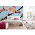 Peach Blossom - Thumbnail View 1